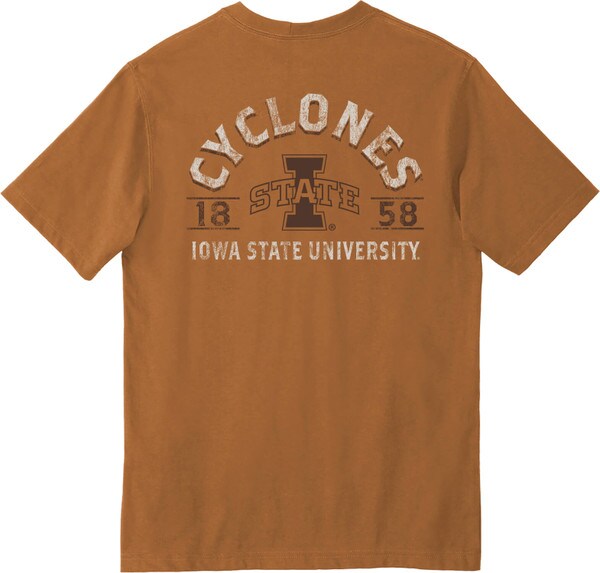 Carhartt I-State 1858 Brown T-Shirt